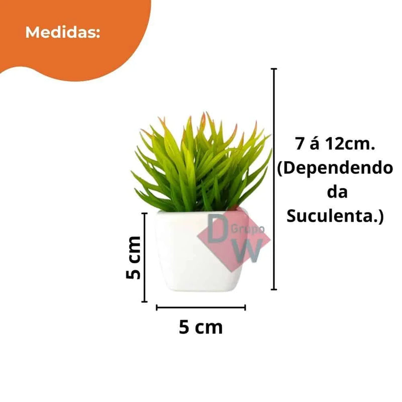 Mini Vasos Cerâmicos Suculentos Artificiais Brancos